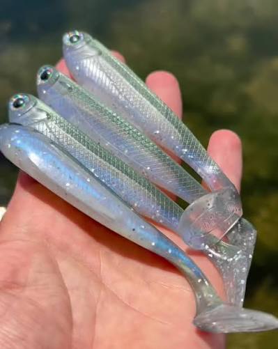 R SHAD 100 REAL FISH ROSHI