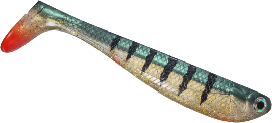 R SHAD 100 PERCH