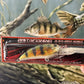 MAGNUM CRANK BAITSFISHING R 800 PERCA