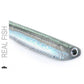 R SHAD 100 REAL FISH ROSHI