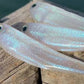 R SHAD 70 RAINBOW ROSHI