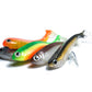 R SHAD 100 ALBURNO ROSHI